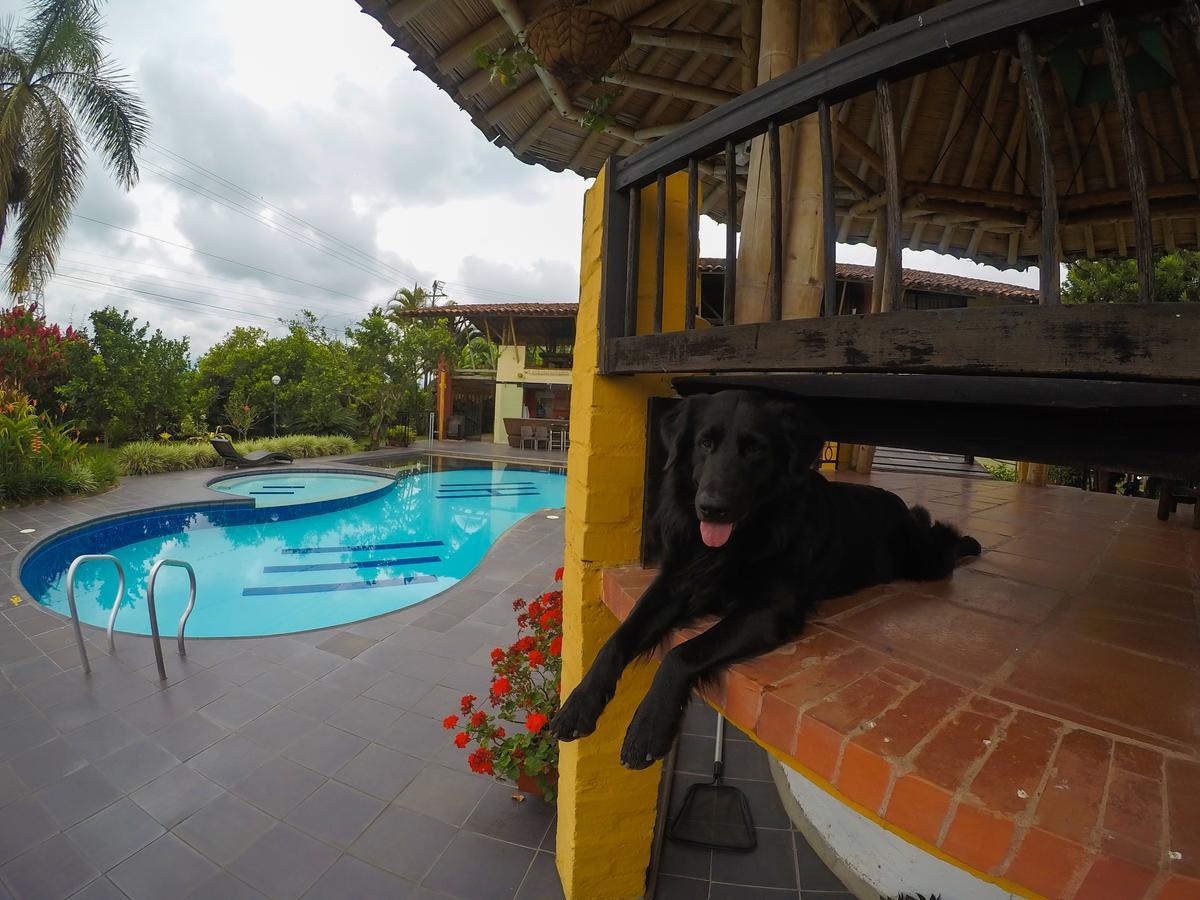 Finca Hotel La Quinta Porra Armenia  Dış mekan fotoğraf